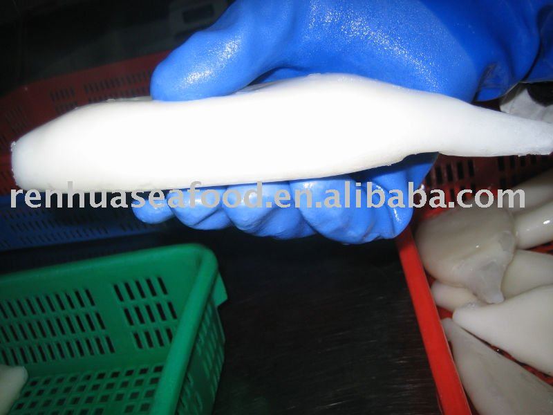 Frozen Squid Tube