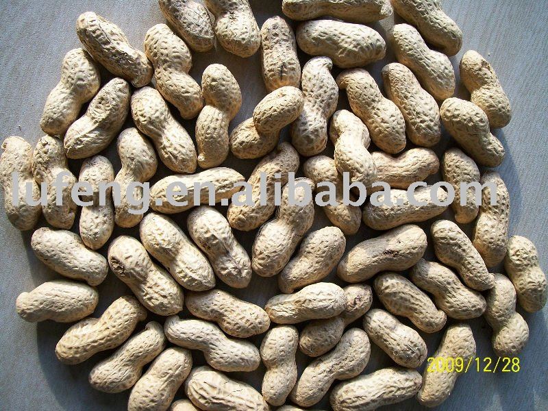 Shandong Roasted Peanuts Inshell