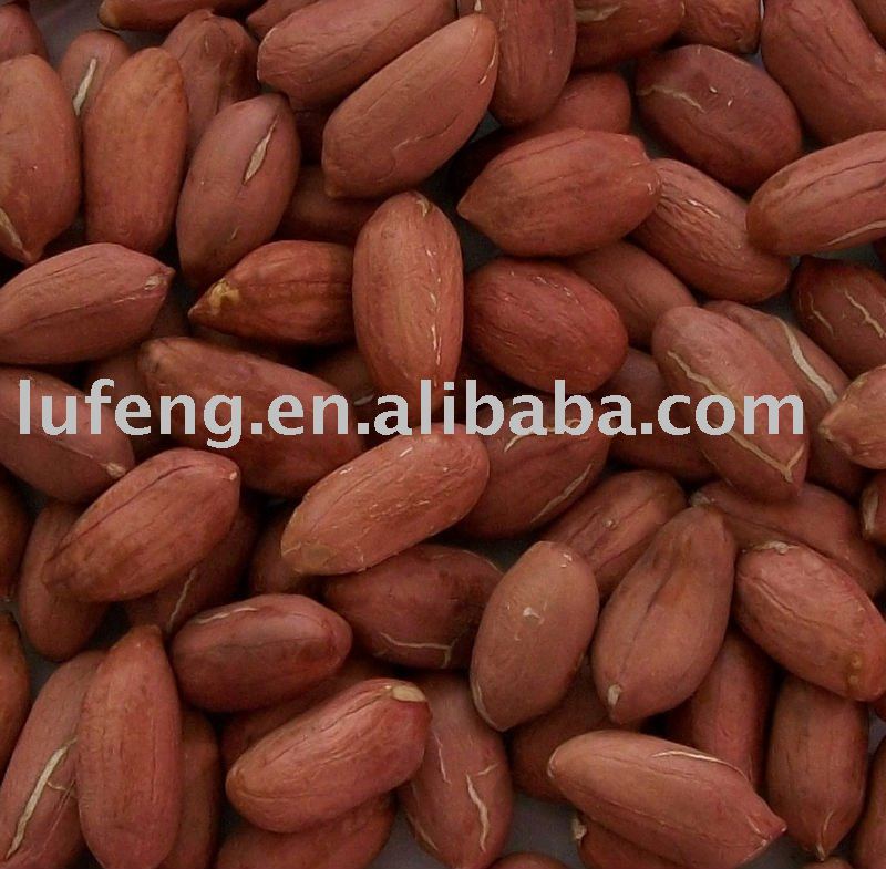 Chinese Roasted Peanut Kernel