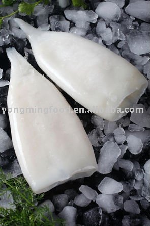 Frozen korea squid tube U5