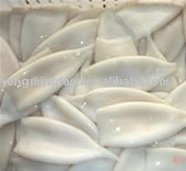 Frozen squid tube U5