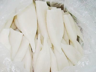 IQF SQUID TUBE U15