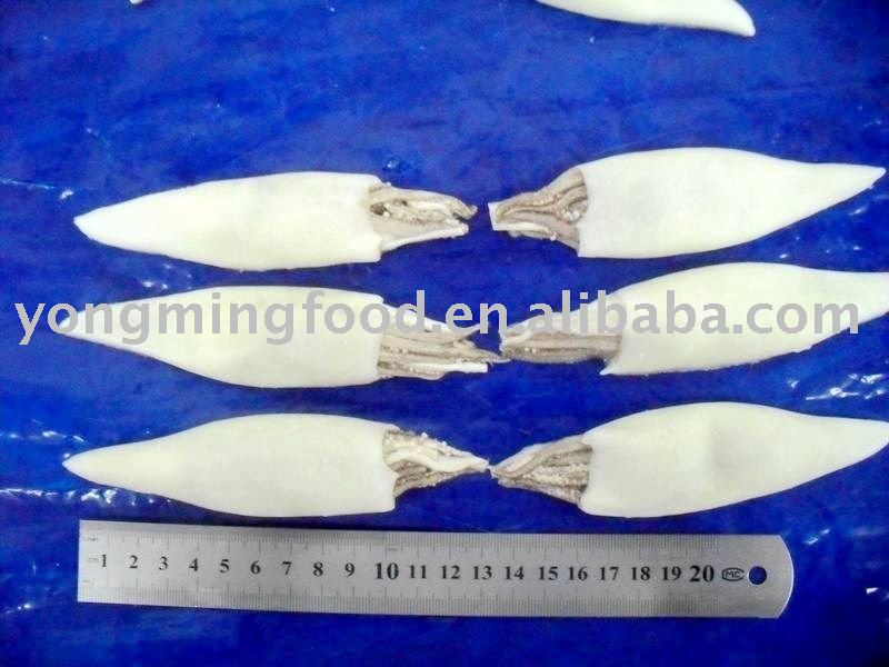 califonia squid(T+T) seafood
