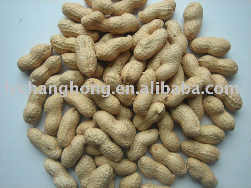 low price peanut in shell