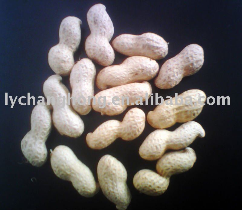 low price peanut in shell 9/11