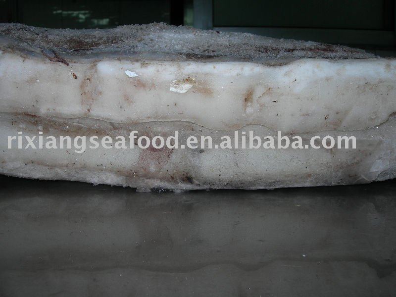 Giant Squid Fillets(skin-on or skin-off)