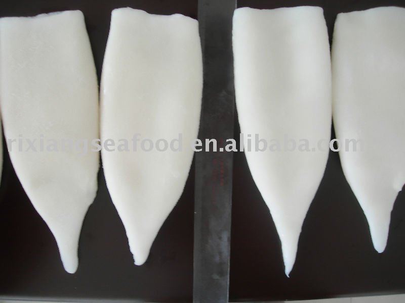 frozen seafood  fish  fillets squid Calamari