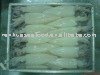 Renhua Chilled Fresh Todarodes Pacificus Tube U7