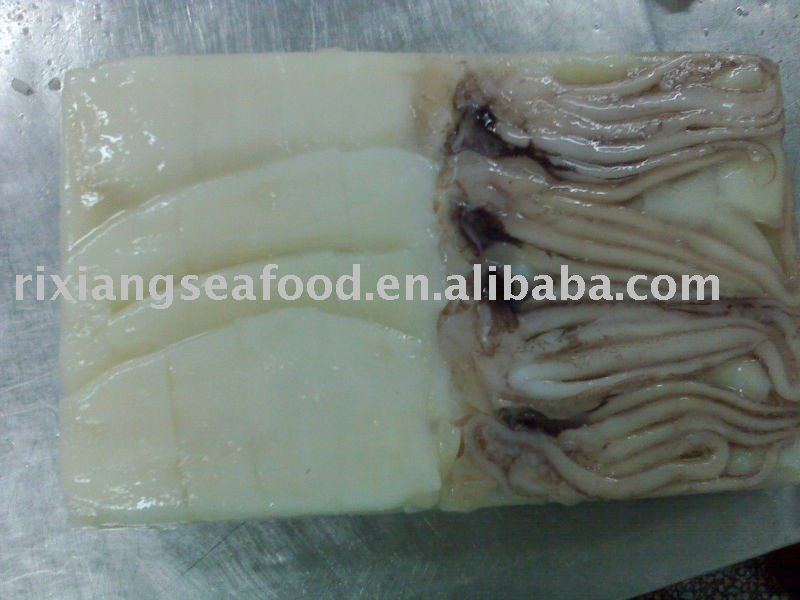 squid tube iqf block ice sheets