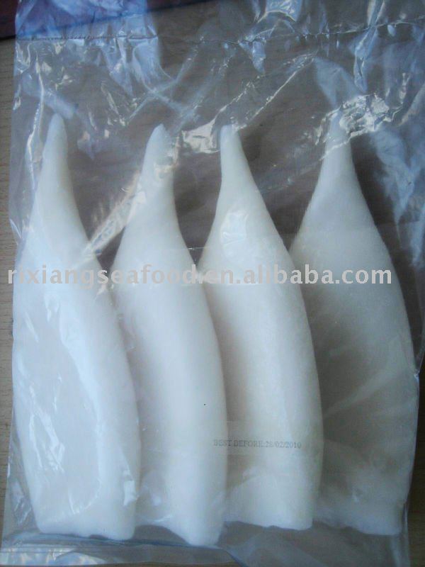Frozen Squid Tube U3 U5