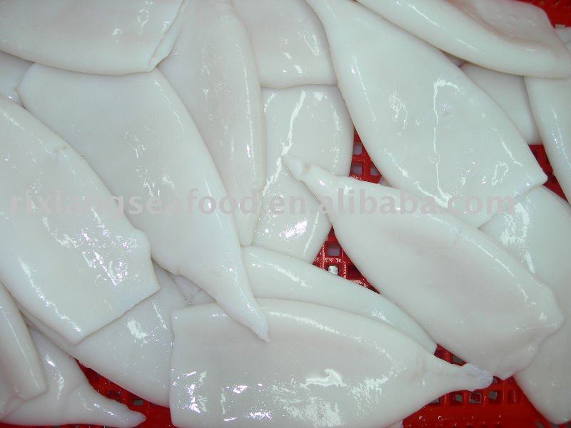 illex argentinus squid tube cuttle fish