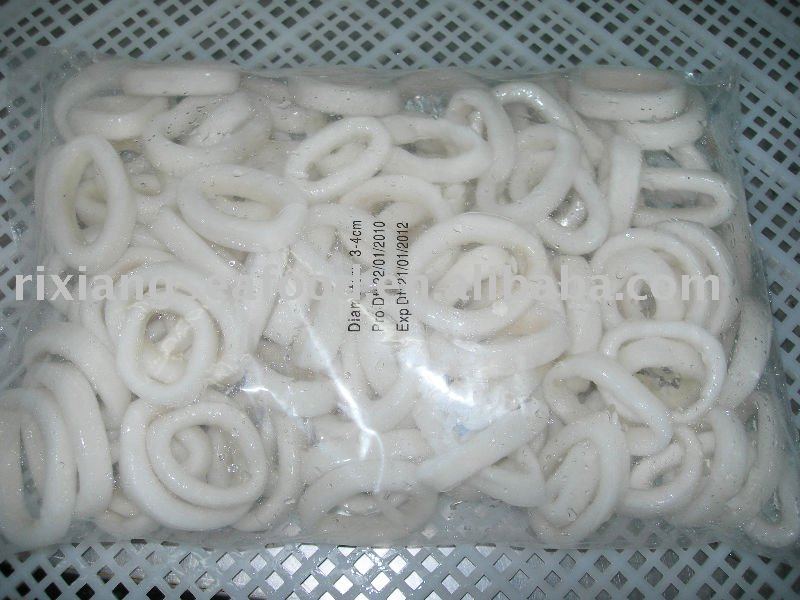 Todarodes Squid Ring