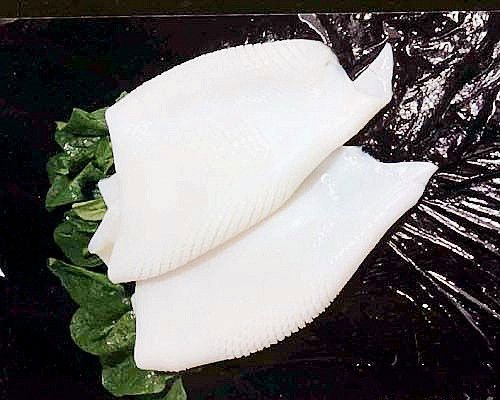 todarodes pacificus squid tube u3
