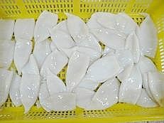 seafood squid tube u20