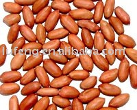 Chinese Roasted and salted Peanut Kernels