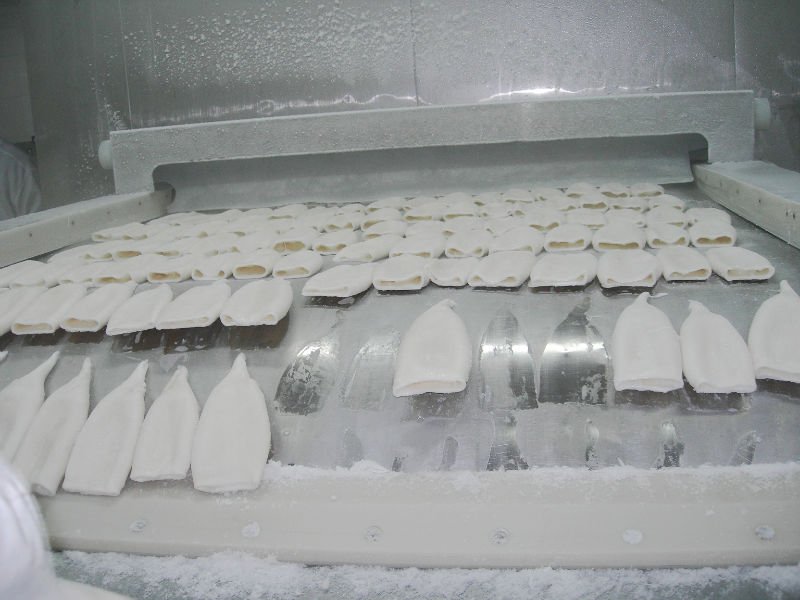 ILLEX ARGENTINUS SQUID TUBE U15-U20