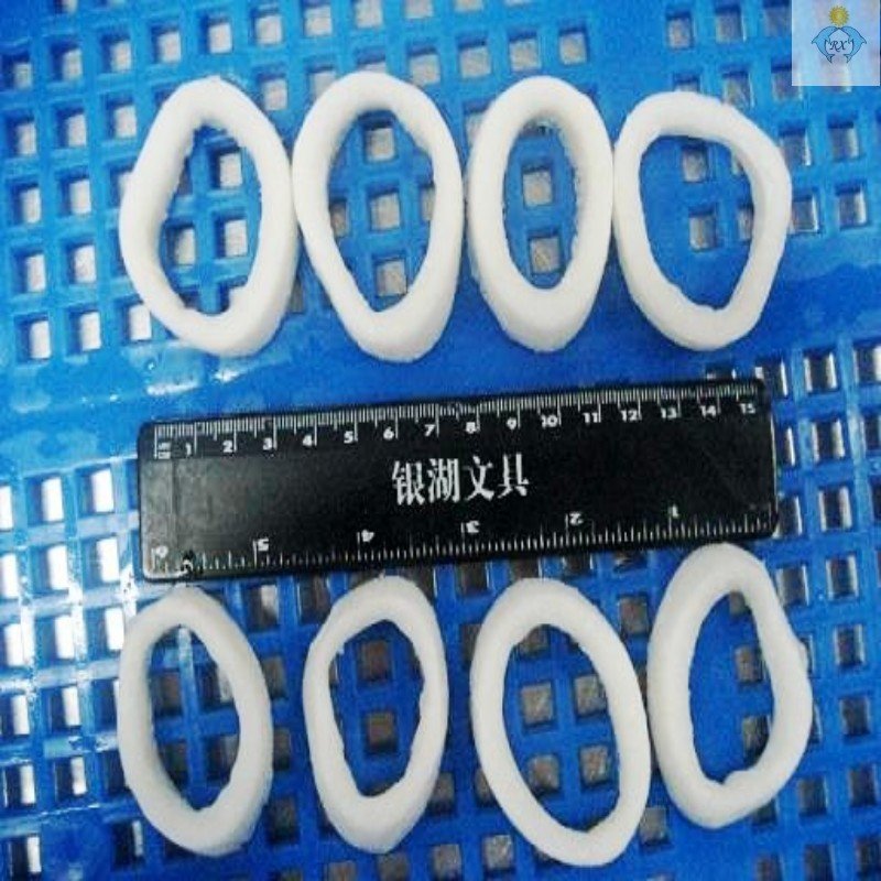 TODARODES PACIFICUS SQUID RING 3-4CM