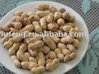 Roasted Peanuts with shell