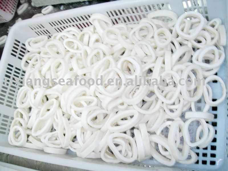  todarodes  pacificus squid ring 5-6cm