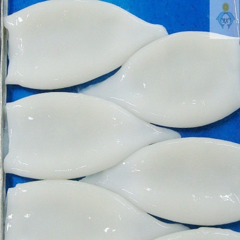  ILLEX   ARGENTINUS   SQUID  TUBE U 5