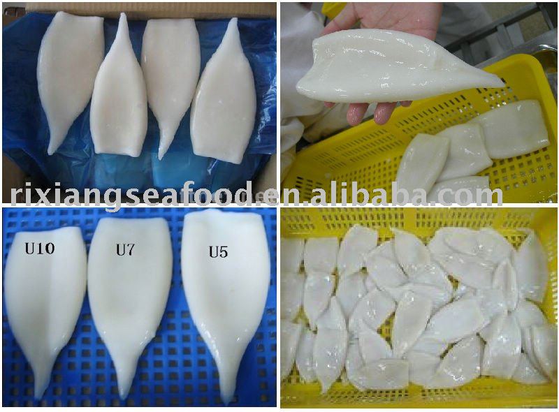 high-quality frozen squid tube