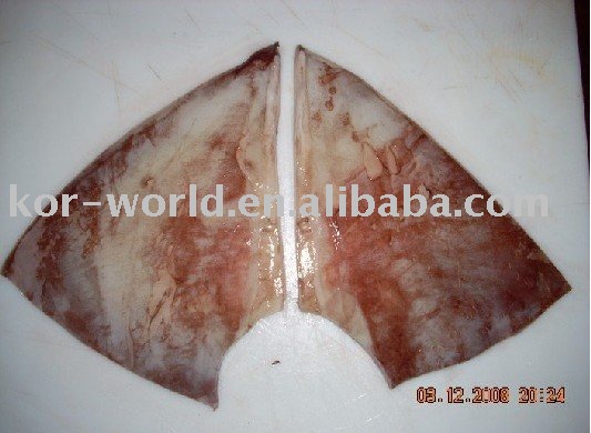 frozen squid wing