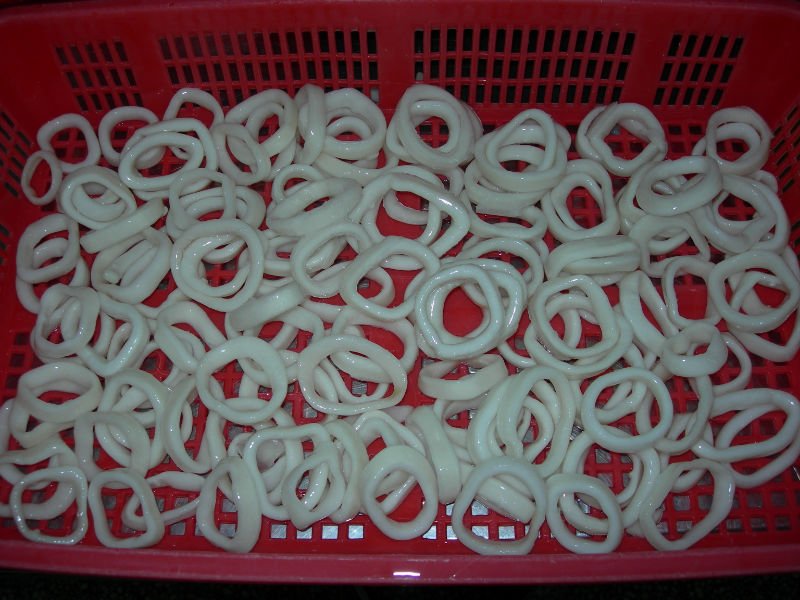 ILLEX SQUID RING 8-9CM