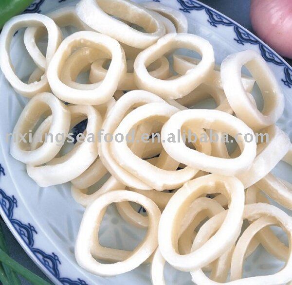 TODARODES PACIFICUS SQUID RING 8-9CM