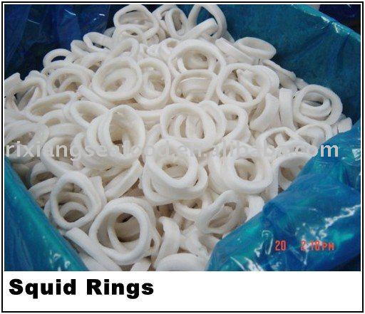 TODARODES SQUID RING 5-6CM