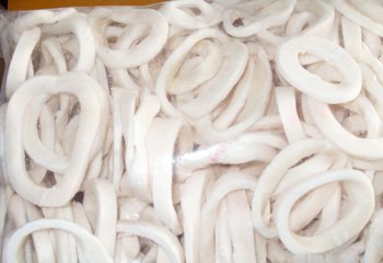 TODARODES SQUID RING 3-4CM