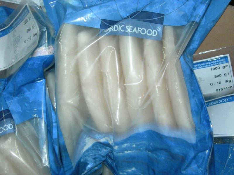 ILLEX SQUID TUBE U5