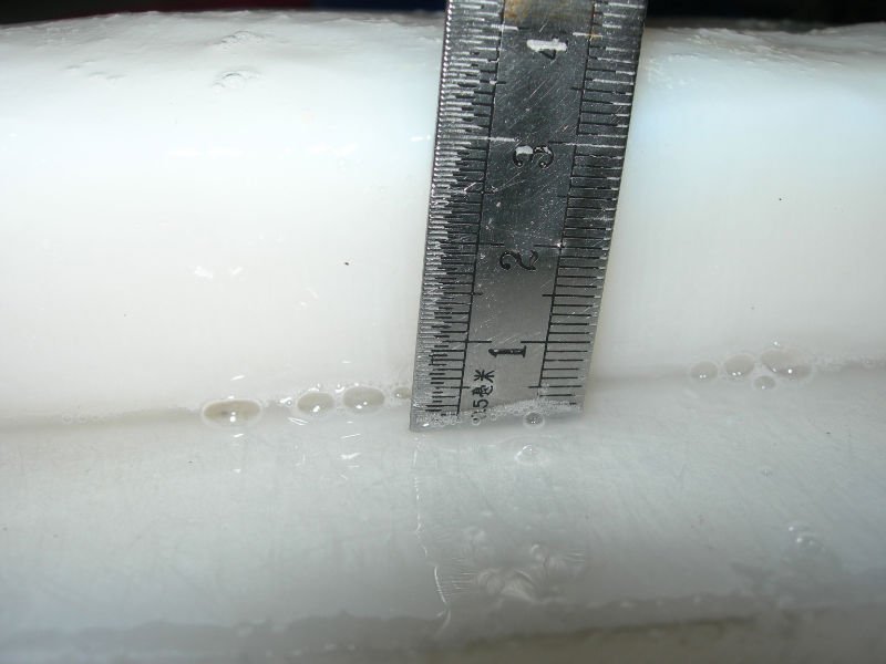GIANT SQUID FILLET SKIN-OFF