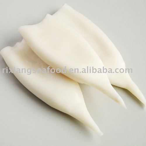 ARROW SQUID TUBE U3