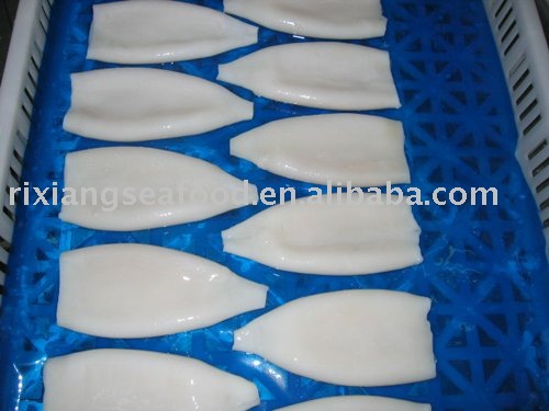 ILLEX SQUID RING 8-9 CM