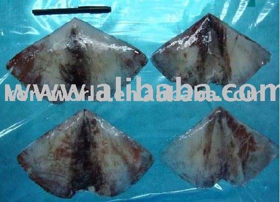 squid wing