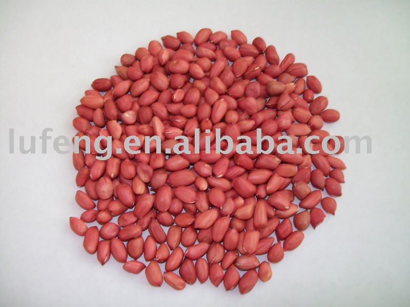 Chinese Peanut Kernel with Red Skin
