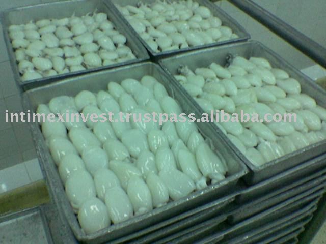 FROZEN WHOLE CLEANED CUTTLEFISH