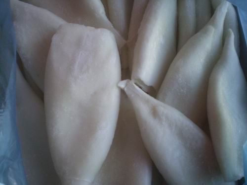 Frozen Squid Tube