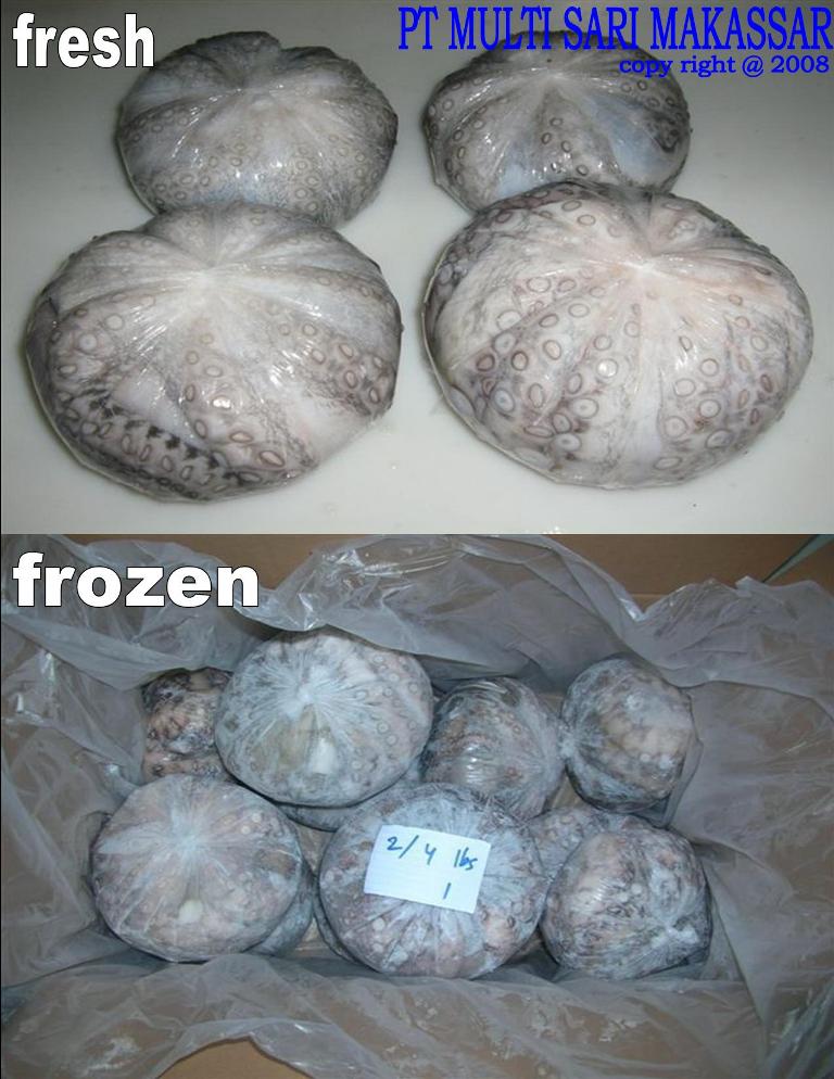 OCTOPUS BALL TYPE
