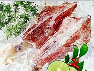  WHOLE  CLEAN  SQUID 