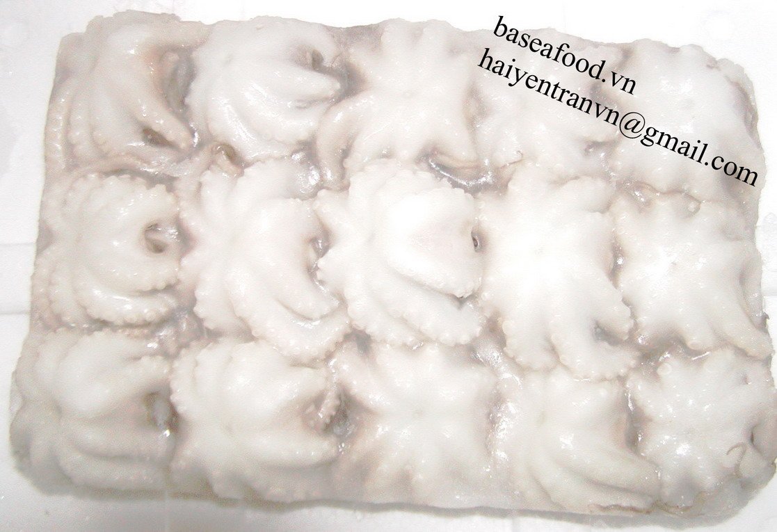 FROZEN BABY OCTOPUS SINGLE SKIN