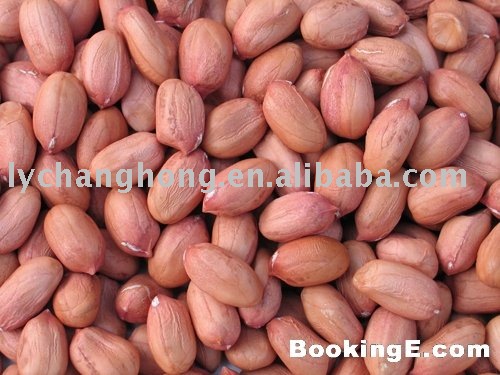 New Crop Quality Peanut