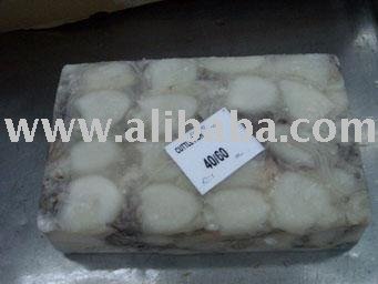 FROZEN BABY CUTTLEFISH WHOLE CLEANED