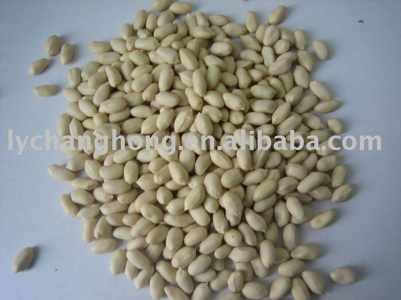new crop blanched peanut(best quality)