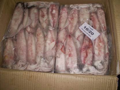 Frozen Sea Foods Offer