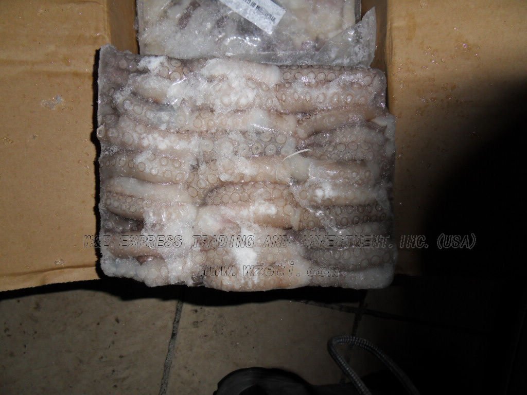 frozen cuttlefish
