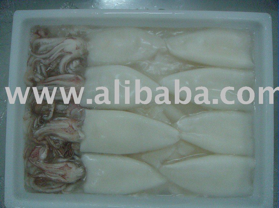  Frozen   Squid   Tube  and  Tentacle 