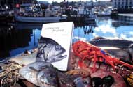 Black Tiger Prawns, Basa, Frozen Squid And Crabs