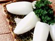 Frozen Squid Tube