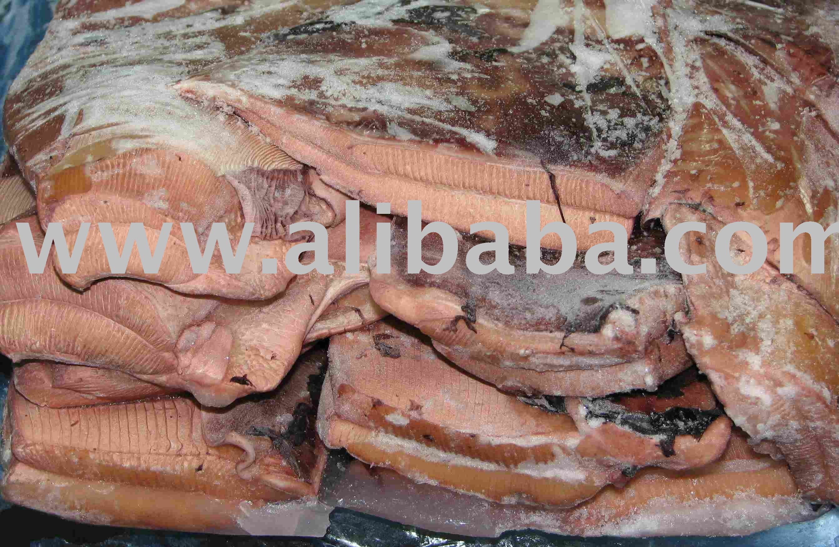 Boiled wings of giant squid (Dosidicus gigas)